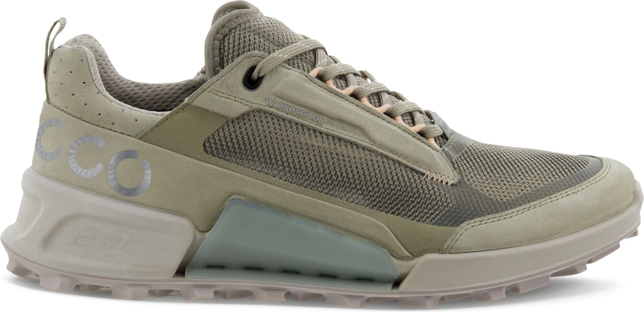 Biom 2.1 X Mountain Sage - Image 2