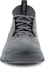 MX Titanium - Image 4