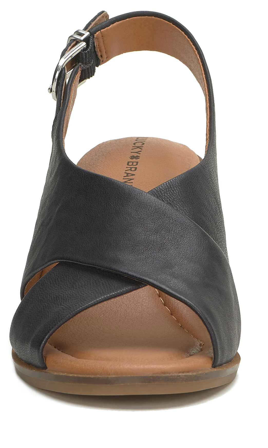 Rhidlee Black - Image 3