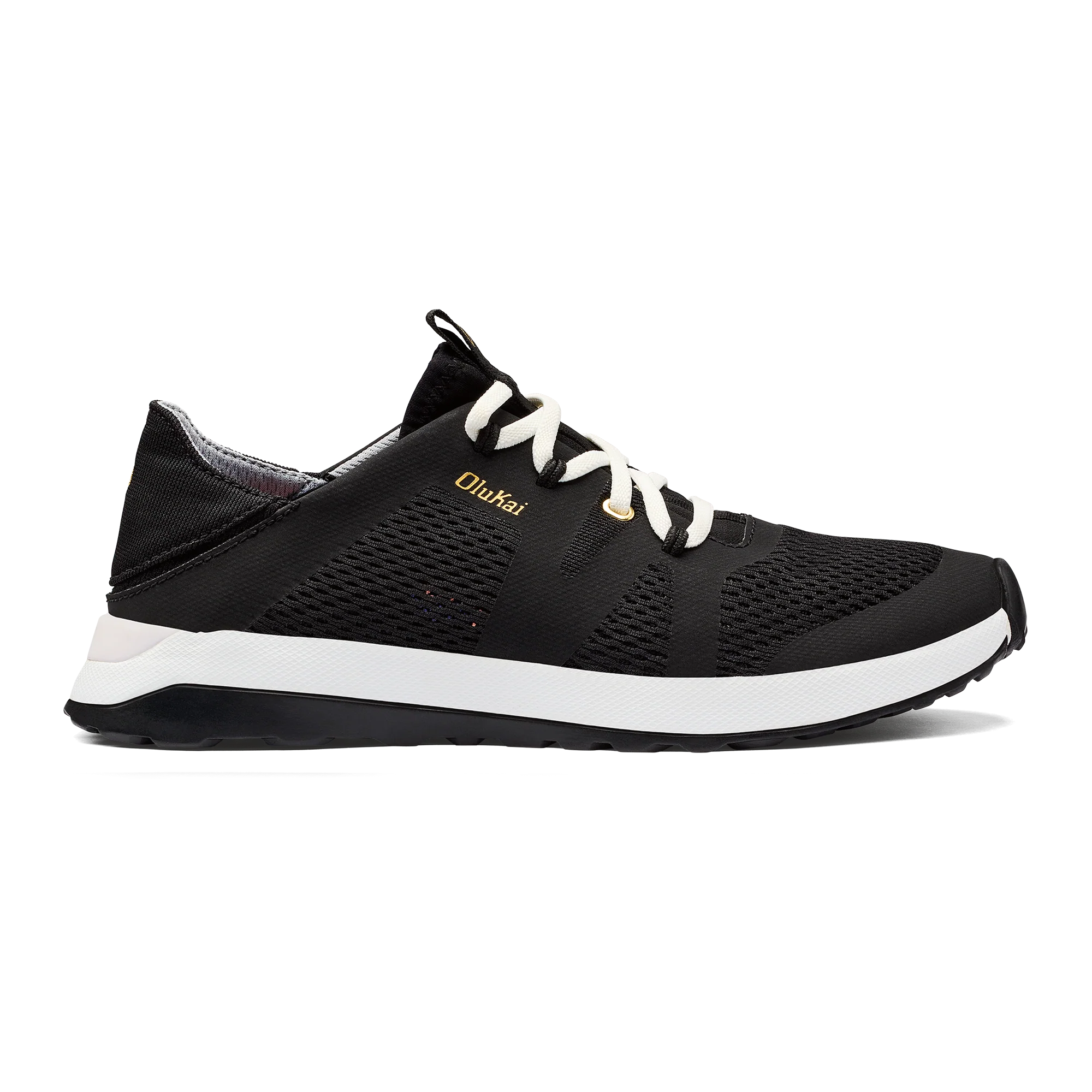 Huia Black - Image 2