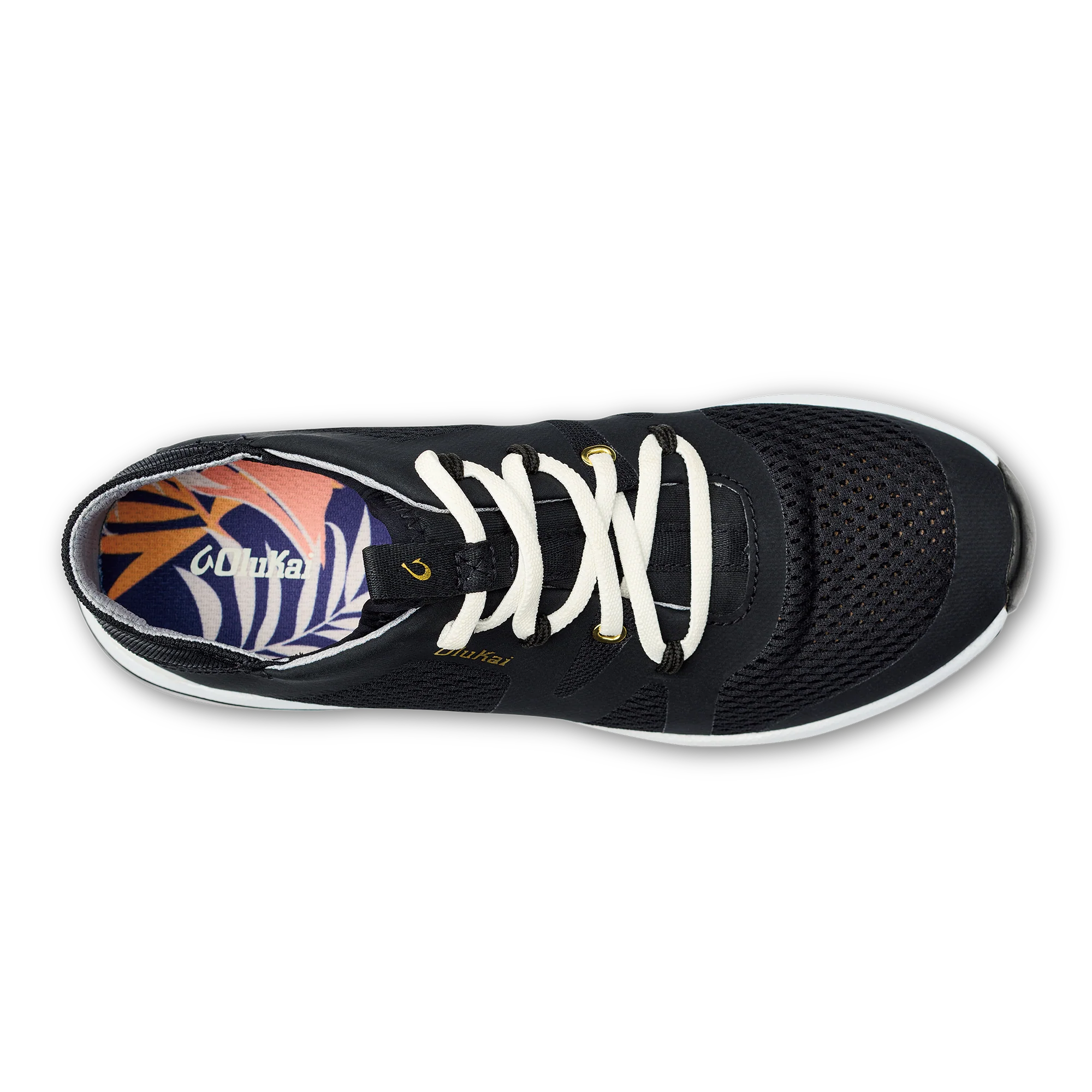 Huia Black - Image 4