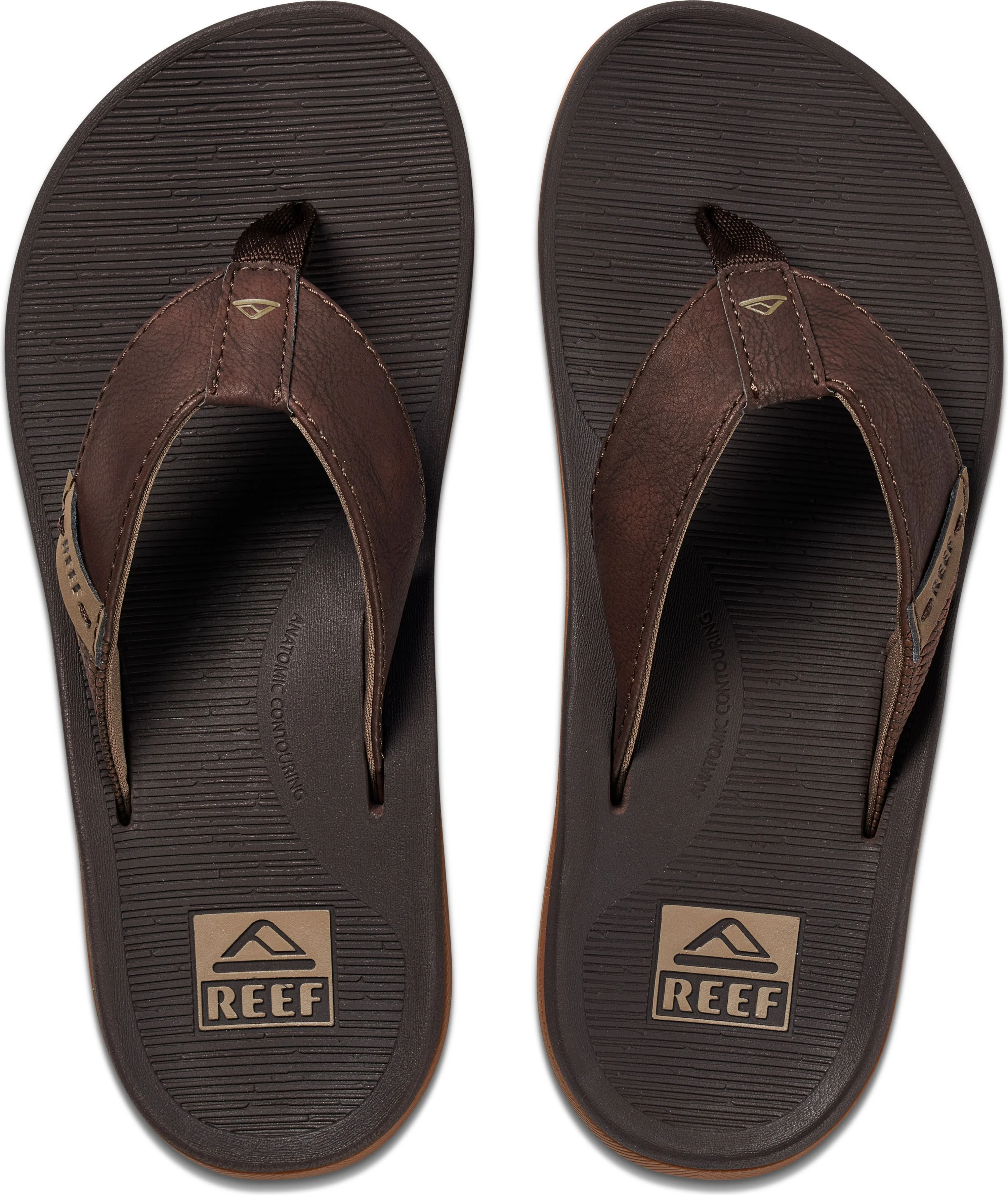 Santa Ana Brown - Image 2