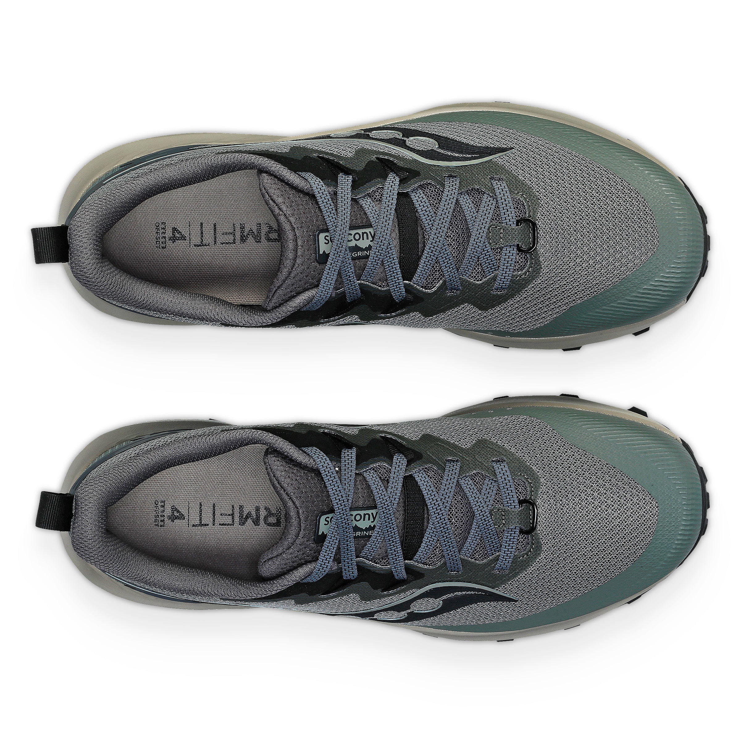 Peregrine 14 Bough - Image 3