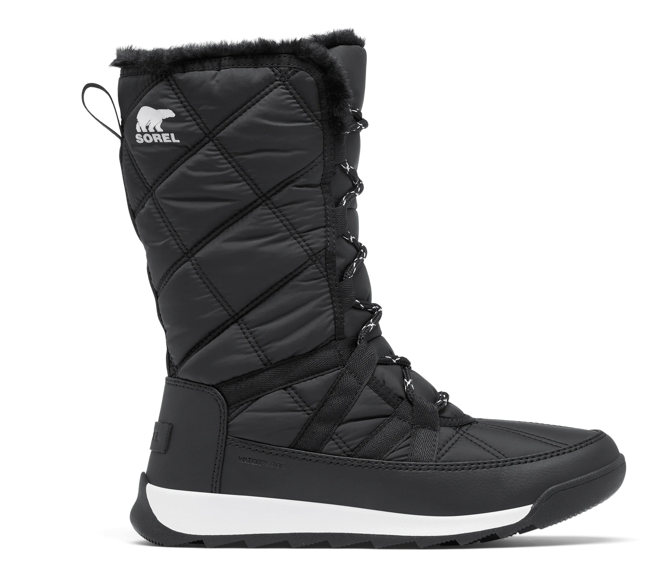 Whiteney II Plus Tall Lace Black - Image 2