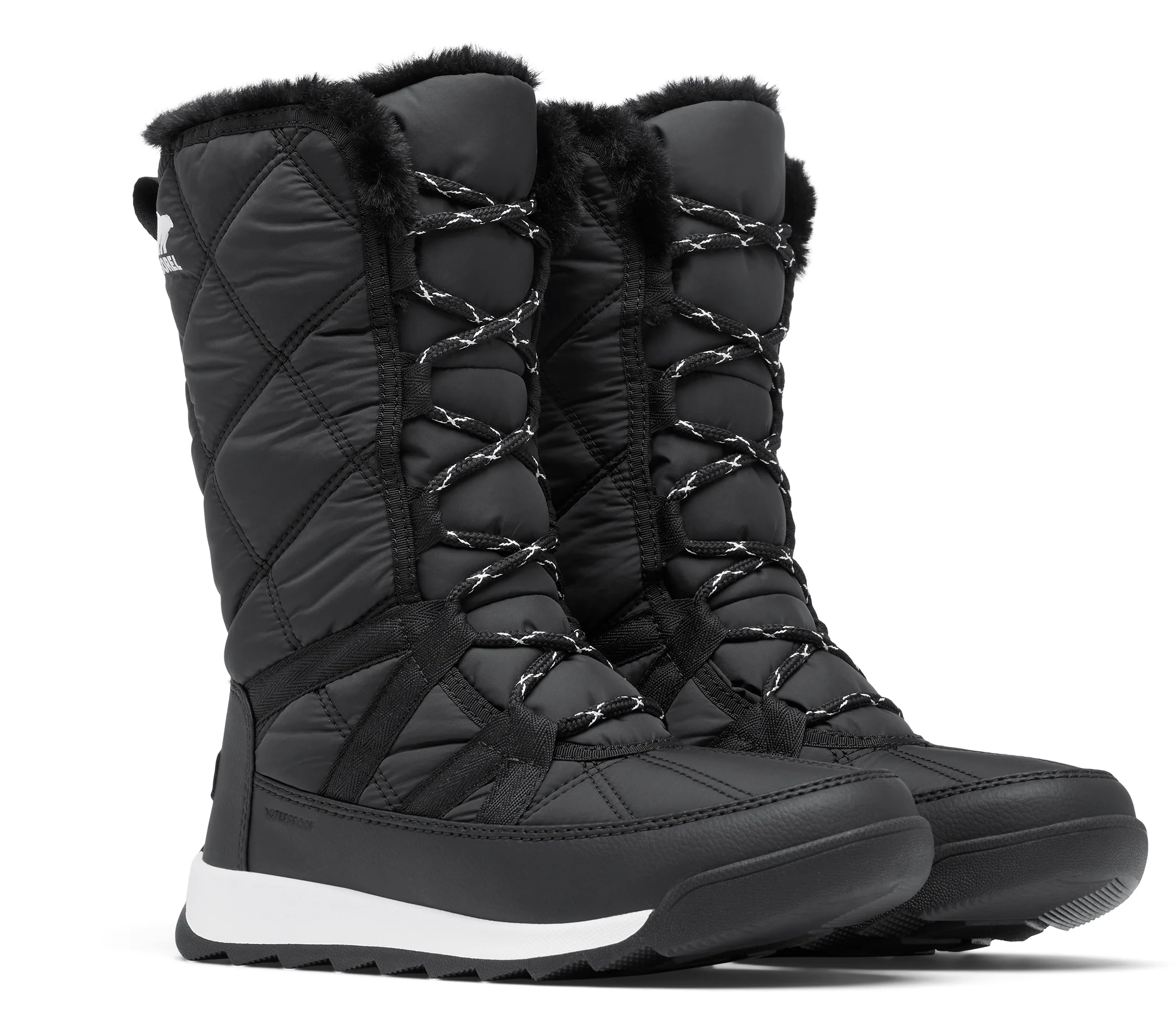 Whiteney II Plus Tall Lace Black - Image 4
