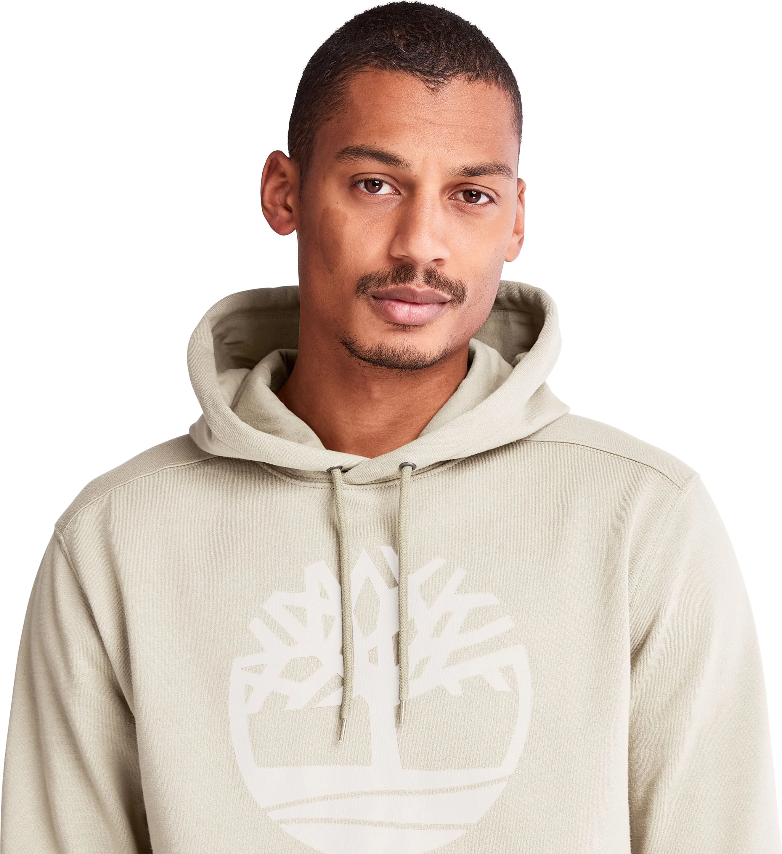 Core Tree Logo Pullover Hoodie Island Fossil - Image 5