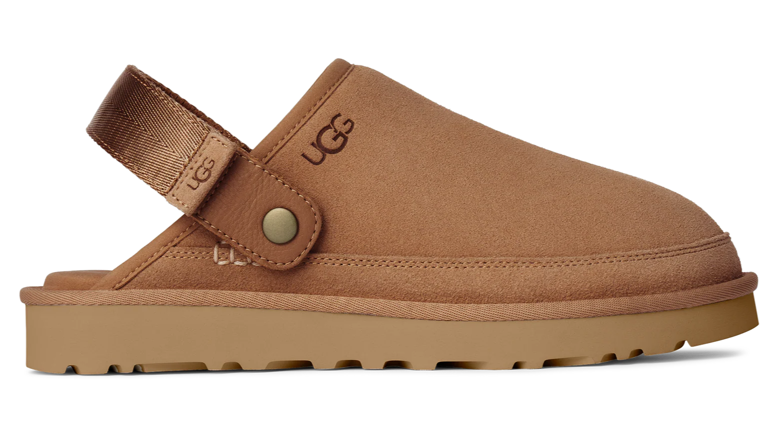 M Goldencoast Chestnut