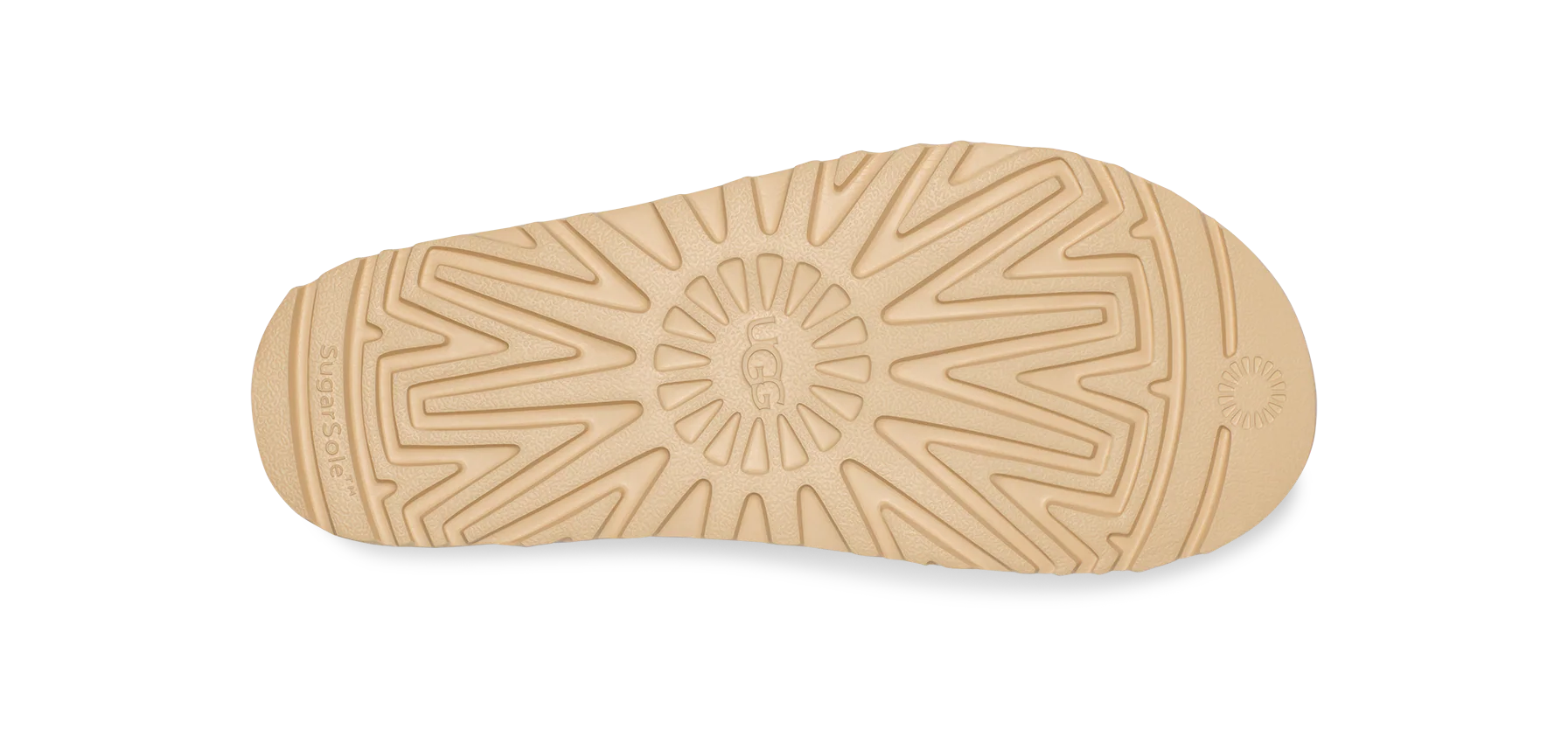 W Goldenstar Chestnut - Image 6